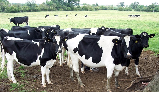 Farmers urged to destock