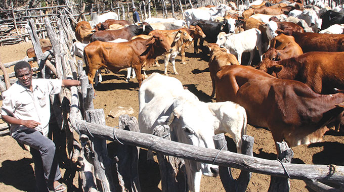 Virtual livestock marketing platforms; an idea whose time has come