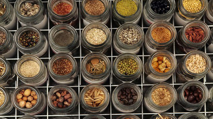 NGOs consortium sets up seed banks