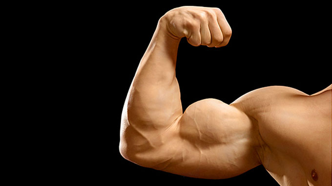 The secret of biceps success