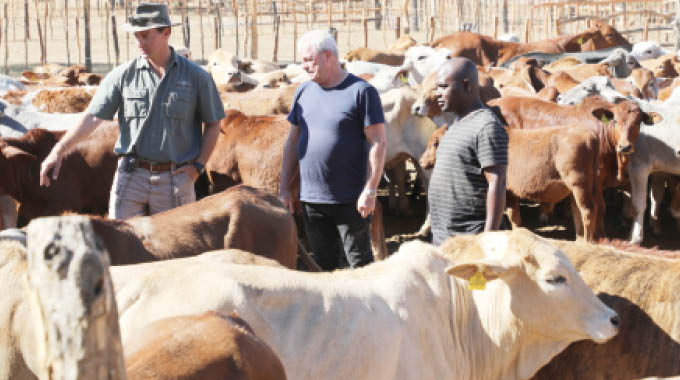 CSC investor tours Dubane Ranch