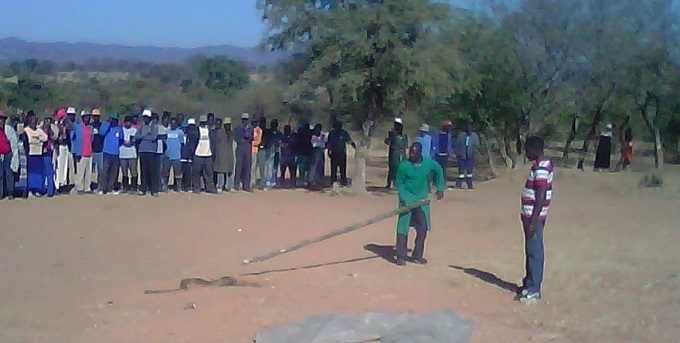 JUST IN: Tsikamutanda retrieve snake in ‘cleansing’ ceremony