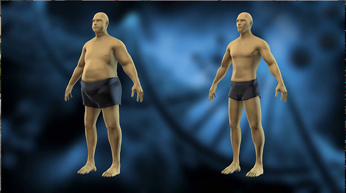 The fat-loss plateau
