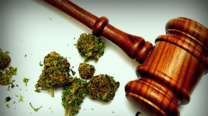 Bulawayo man fined for possession of marijuana