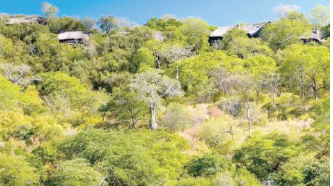 South Eastern Low-veld: Rugged yet heart-warming