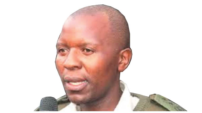 ZimParks dismisses Chegutu lion sightings