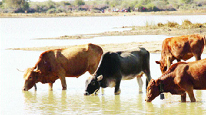 Zim, New Zealand tackle livestock sector impact on climate change
