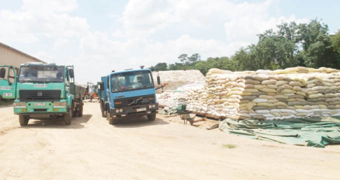 DDF starts moving grain in Mat South