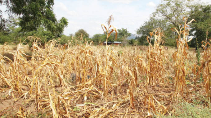 Recovering from a drought period, an active management process