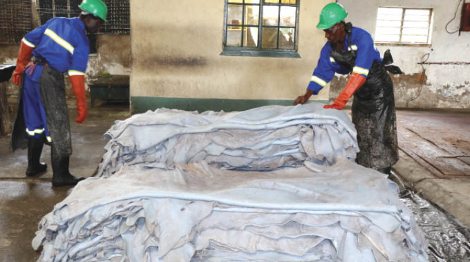 Wet Blue Industries eyes exports