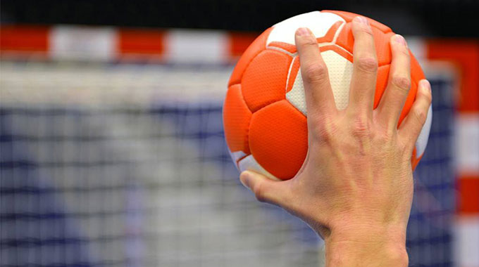 ZHF hold international coaching course