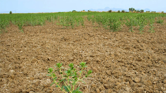 Land ownership not enough without production