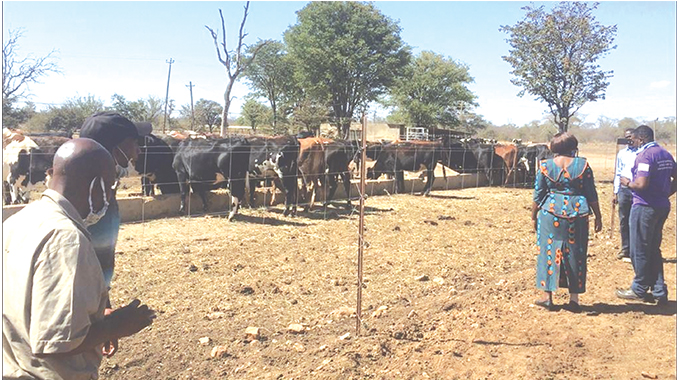 More small-scale dairy farmers to benefit from EU 7 m Euro grant