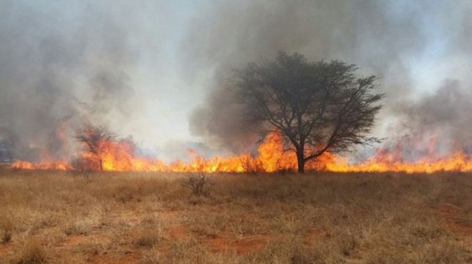 Veld fires destroy $5, 2 million property