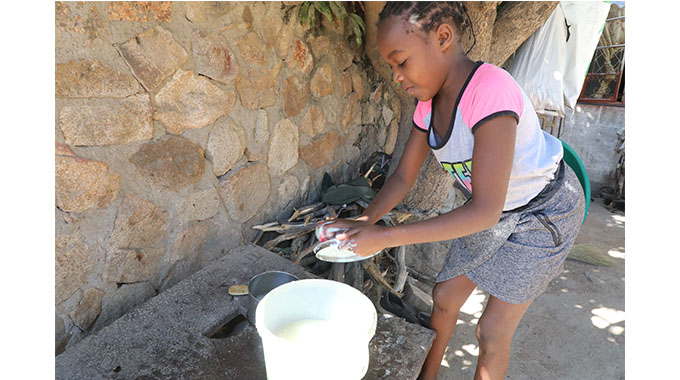 Diasporan raises US$16k for Luveve