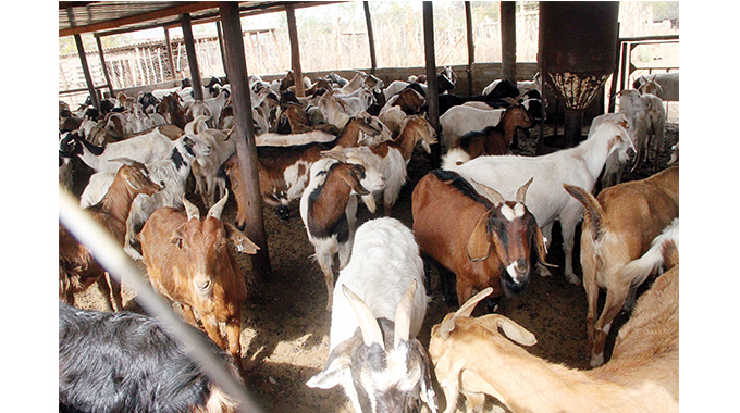 Managing for profit, crucial for livestock production enterprise