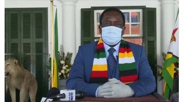 Zim will overcome challenges-ED