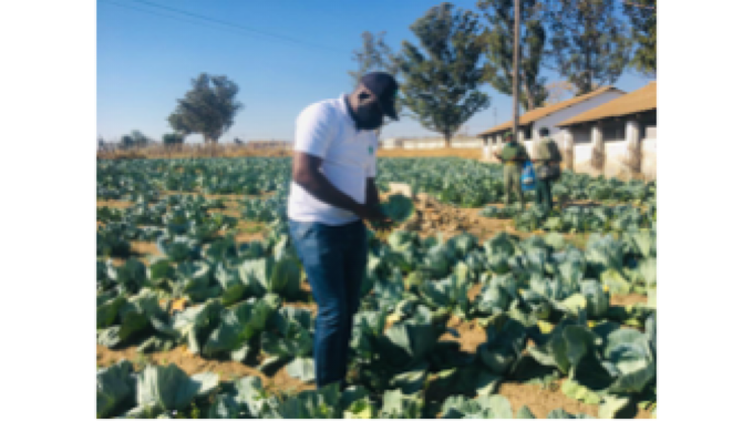 Food security, PPEs boost for Hwawha Prison
