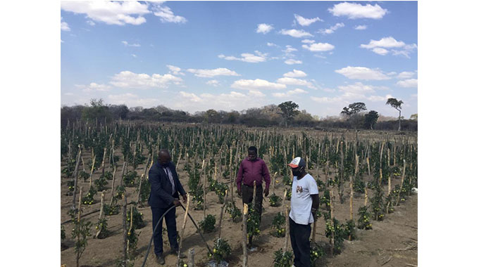 Rural farmer on quest to create employment