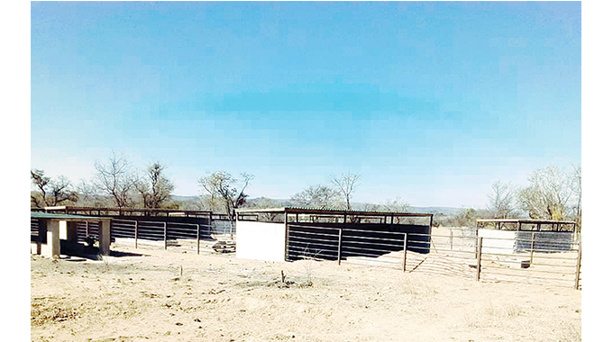 Matopos goat holding centre nears completion