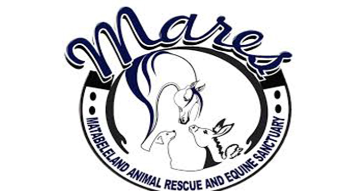 Animal sanctuary wins prestigious award