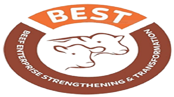 Women and Youths inclusion in the BEST project