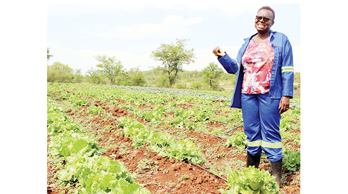 A female farmer’s tale of success amid toil