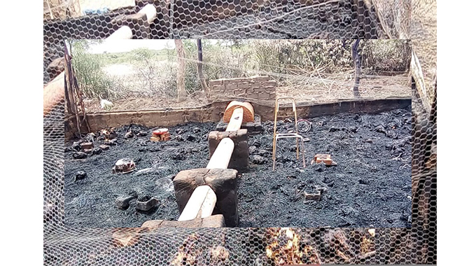 Farmer loses 1000 chickens to lightning