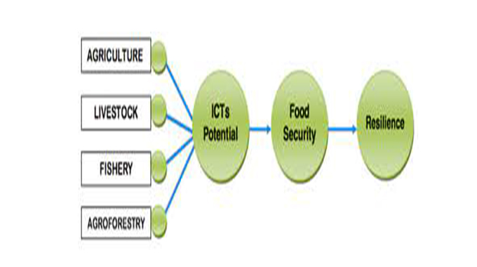 Farmers benefit from embracing ICTs