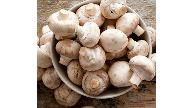 Grow indoor mushrooms, farmers urged