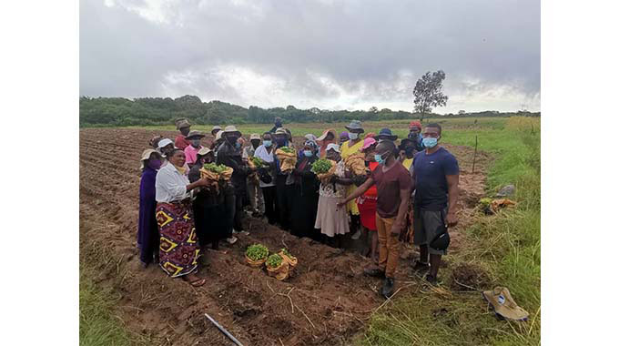 Somnene irrigation, a game changer