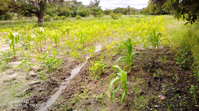 Farmers face water logging