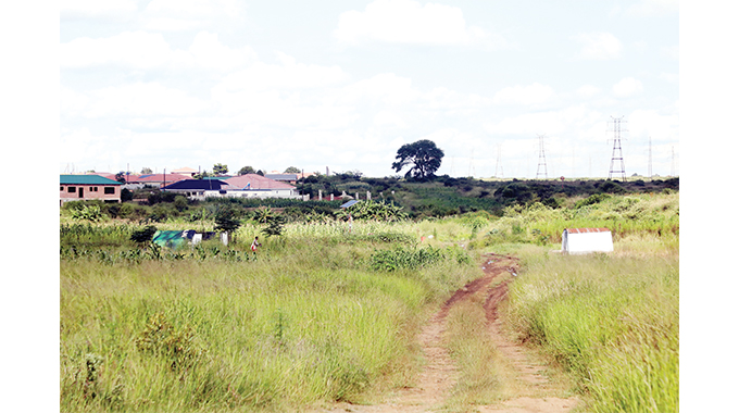 Gold panners invade Bulawayo suburb