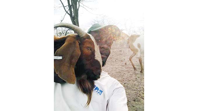Young farmer thrives in boer goat breeding project