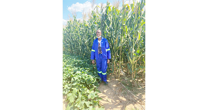 Bulawayo deputy mayor revels in Intwasa farming success