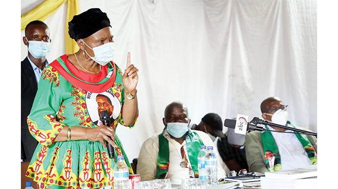 Zanu-PF strengthens structures
