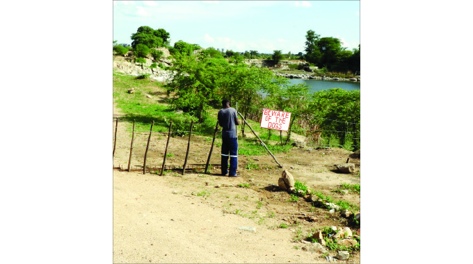 Enkwalini death pool turned into urban agric hub