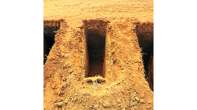 Three graves opened, sweets found in one grave