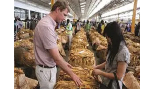 Tobacco marketing season opens