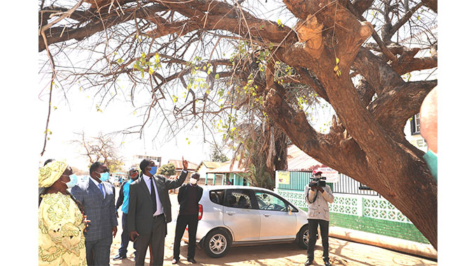Byo’s hanging tree to be declared national monument