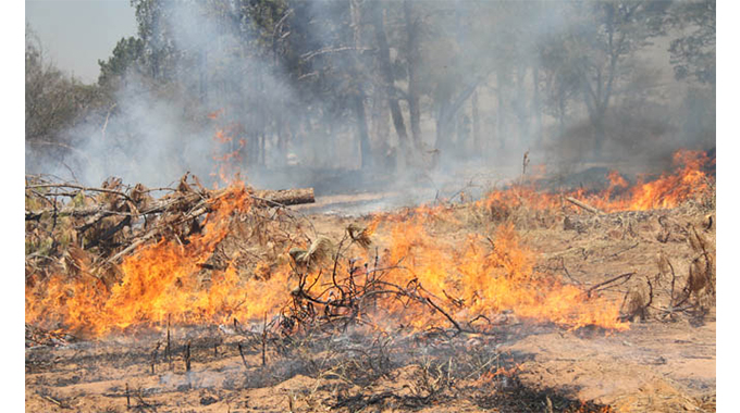 Veld fire season alert