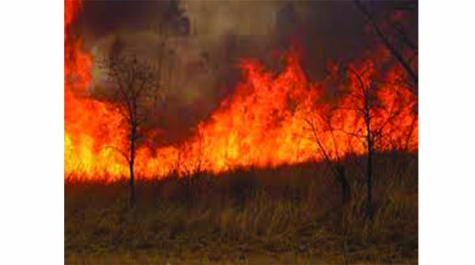 Midlands faces veld fires challenge