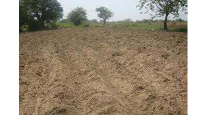 COMMENT: Farmers must engage in land preparation