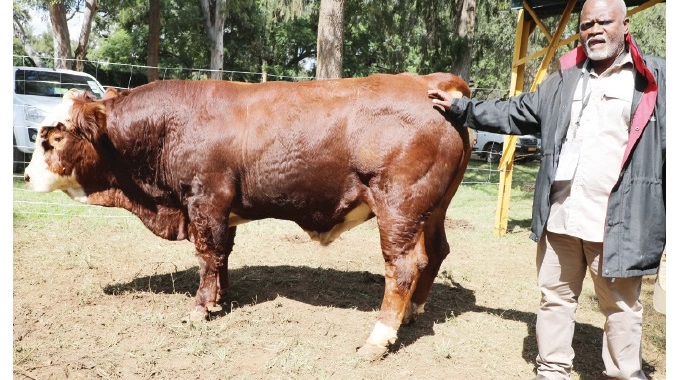 Prioritise animal health and nutrition ahead of rainy season, farmers urged