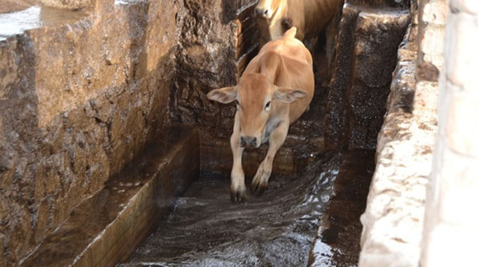 Over 360 dip-tanks rehabilitated