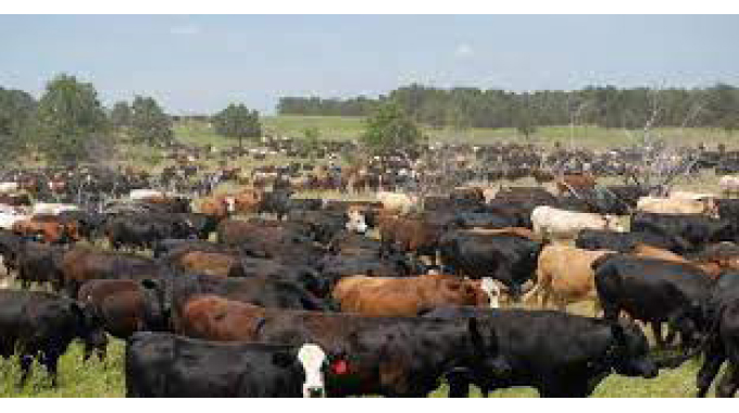 Mortality management in your herd