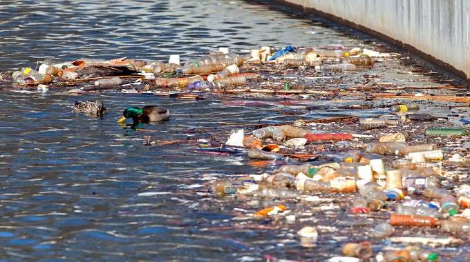 Death and illnesses: a tale of polluted Deka River