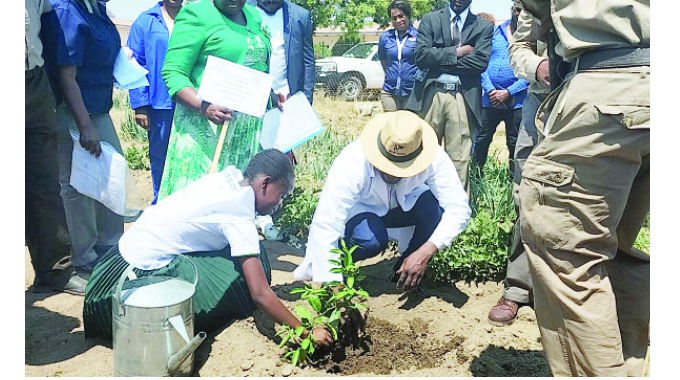 Tree planting – everyone’s responsibility
