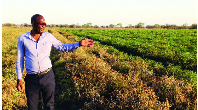 WATCH: The other side of Esidakeni: Farmer invests US$250 000