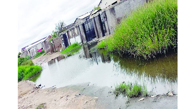 Do not buy stands on wetlands—EMA